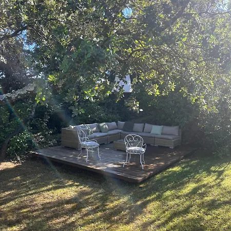 Villa Mas Contemporain Nimes