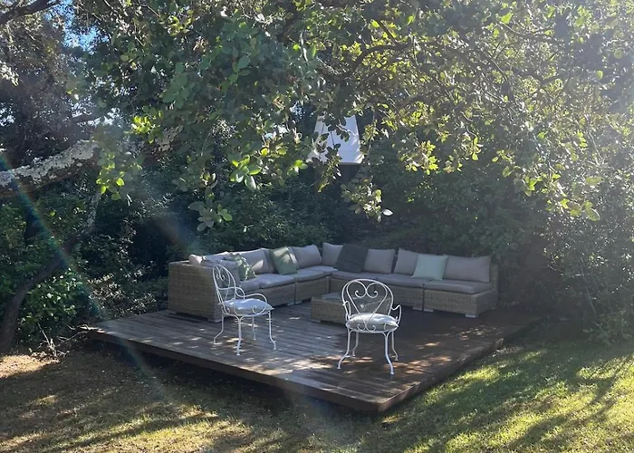 Villa Mas Contemporain Nîmes